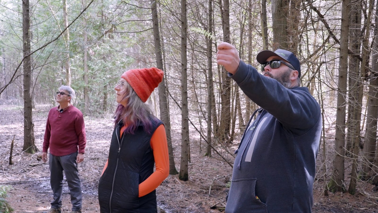 Kyle Hokkanen pointing up into the canopy while two property owners look on in the forest